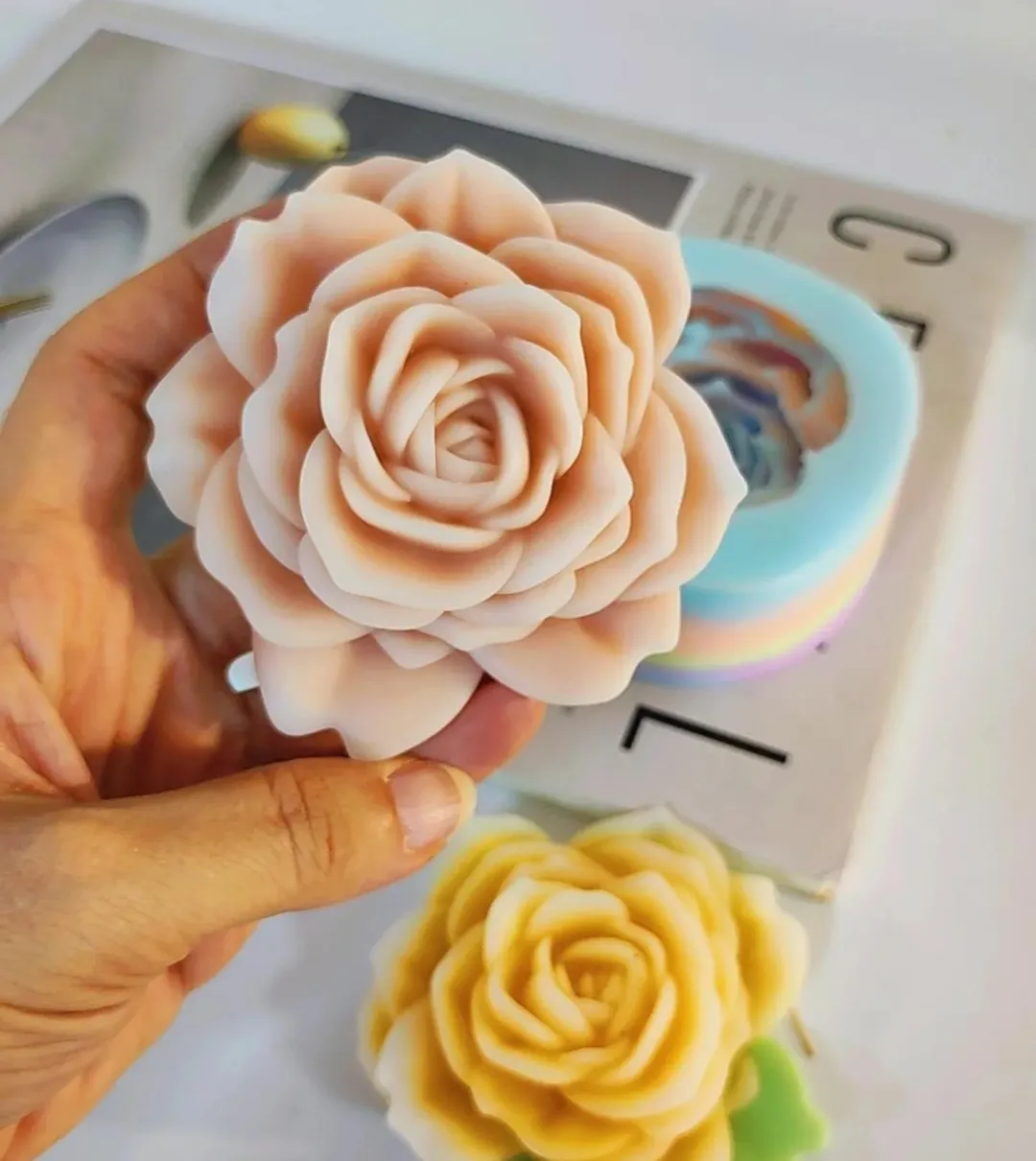 رز ژور نالی با برگ